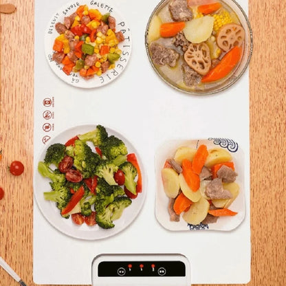 Food Warming Tray